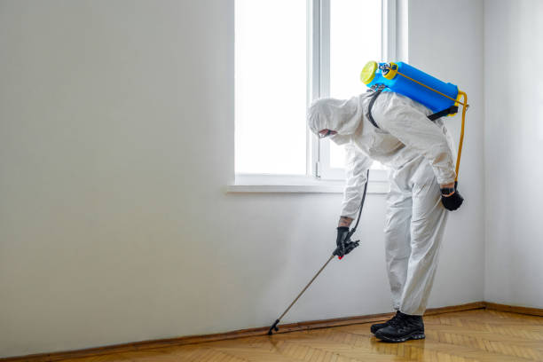 Best Pest Prevention Services  in Chisholm, MN